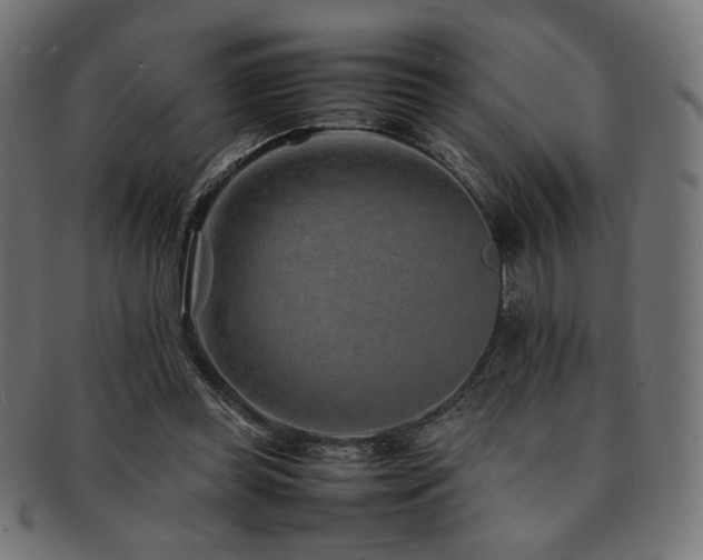 X0000092280349200709141225