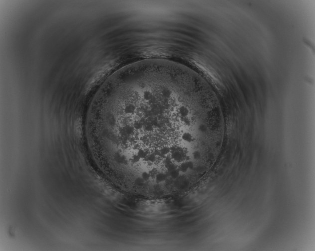 X0000092280353200709141225