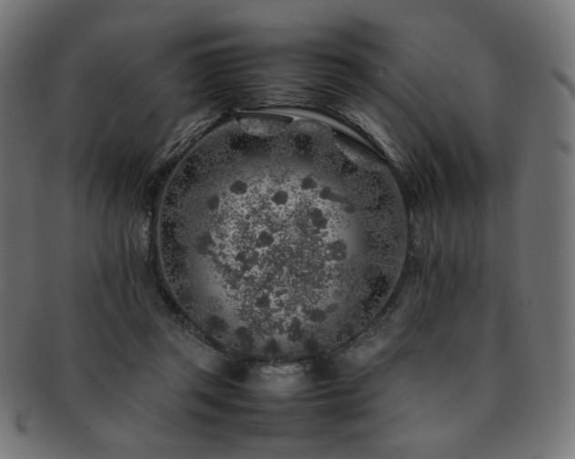 X0000092280357200709141226