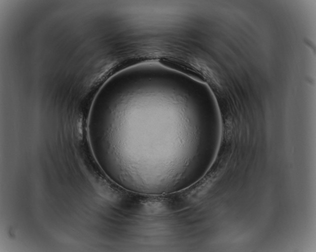 X0000092280358200709141226