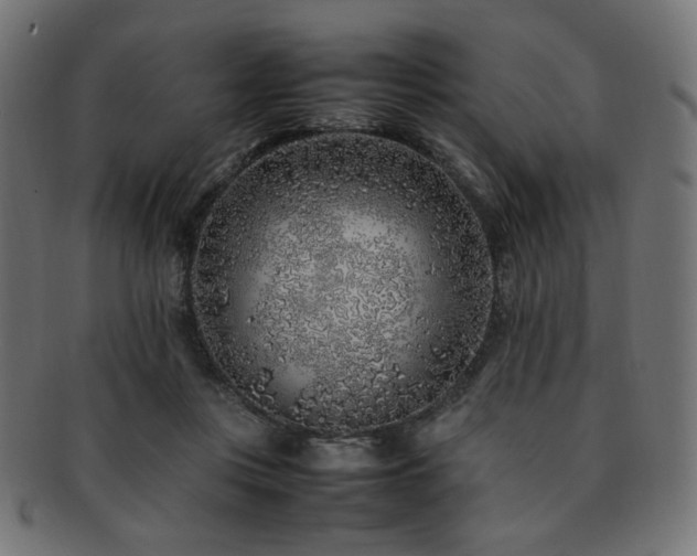 X0000092280359200709141226