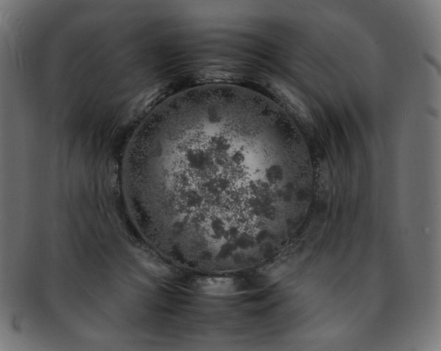 X0000092280361200709141226