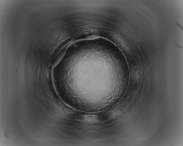 X0000092280363200709141226