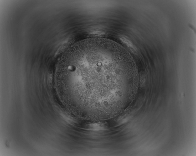 X0000092280365200709141226