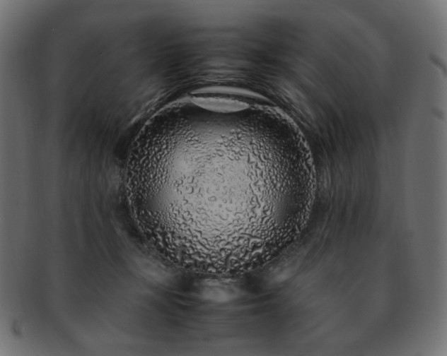 X0000092280367200709141226