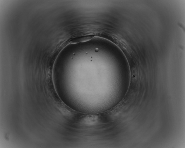 X0000092280369200709141226