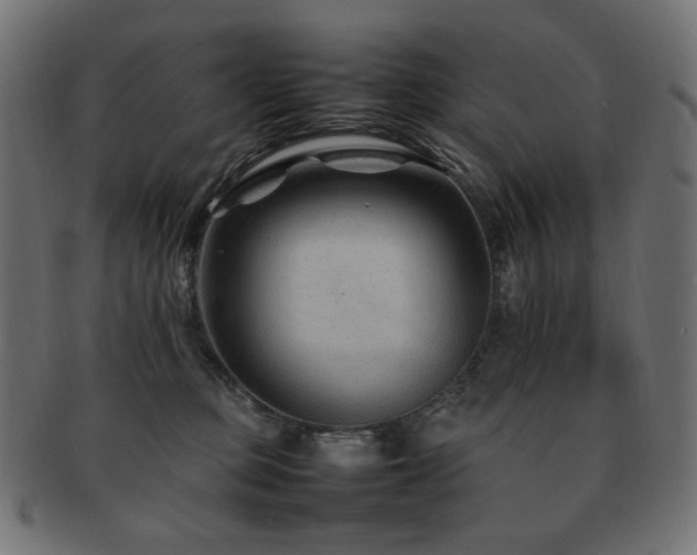 X0000092280373200709141226