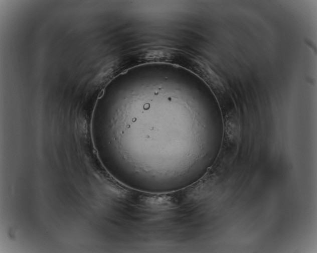 X0000092280375200709141226