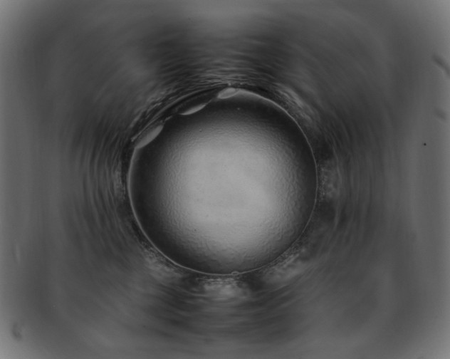 X0000092280377200709141226