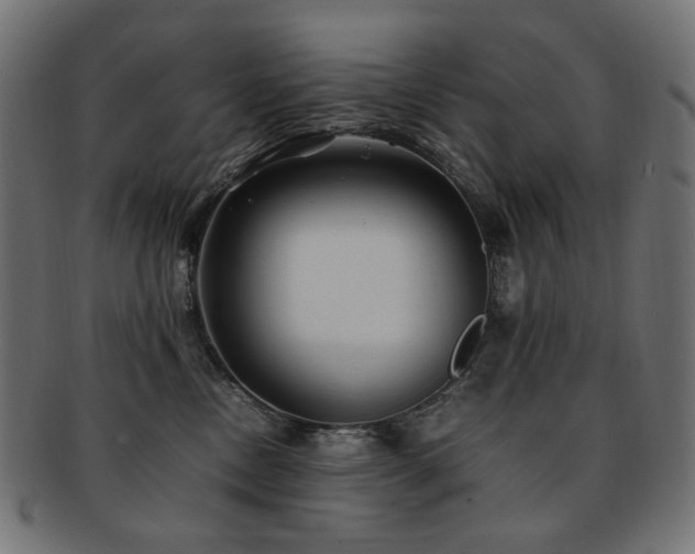 X0000092280378200709141226