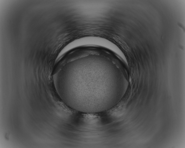 X0000092280380200709141226