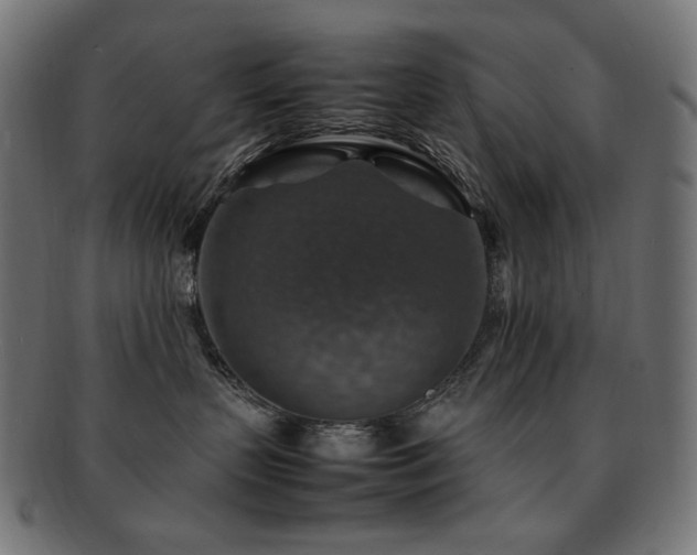 X0000092280383200709141226