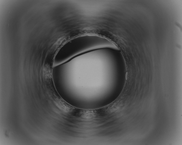 X0000092280384200709141226