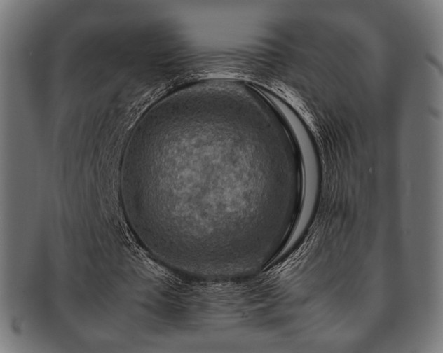 X0000092280385200709141225