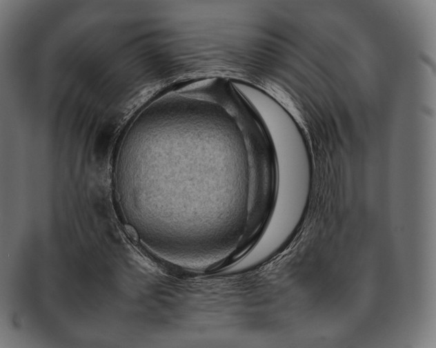 X0000092280389200709141225