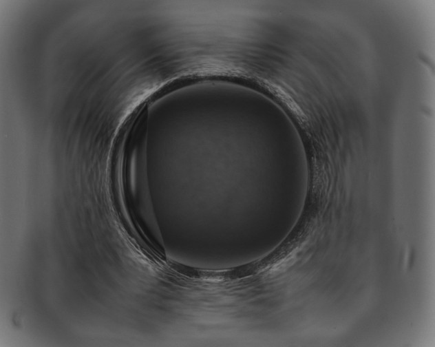 X0000092280391200709141225