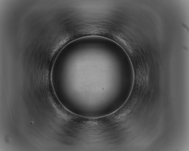 X0000092280394200709141225