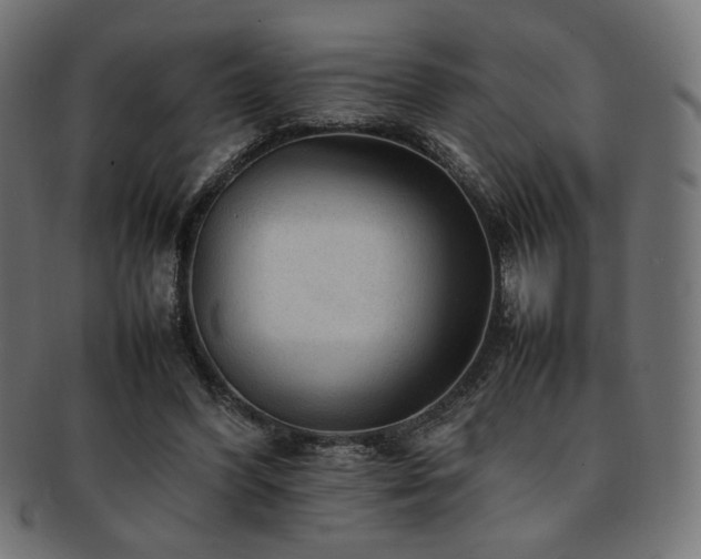 X0000092280396200709141225