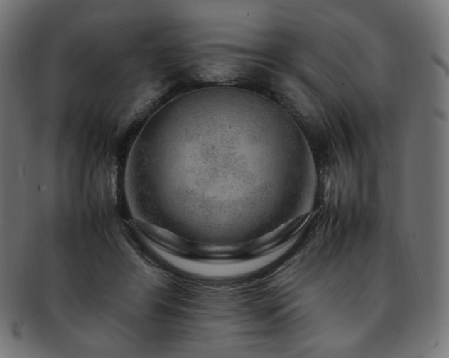 X0000092280404200709141225