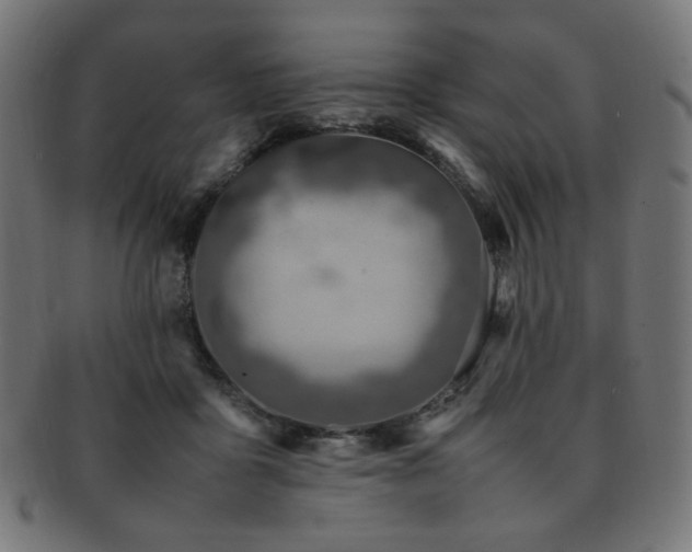 X0000092280411200709141225