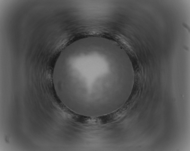 X0000092280415200709141225