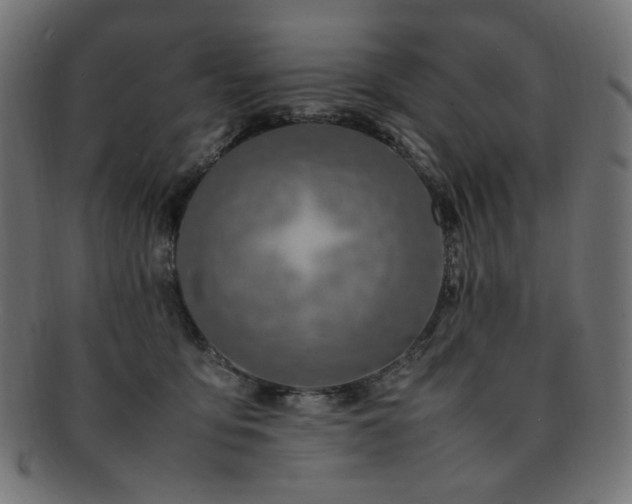 X0000092280419200709141225