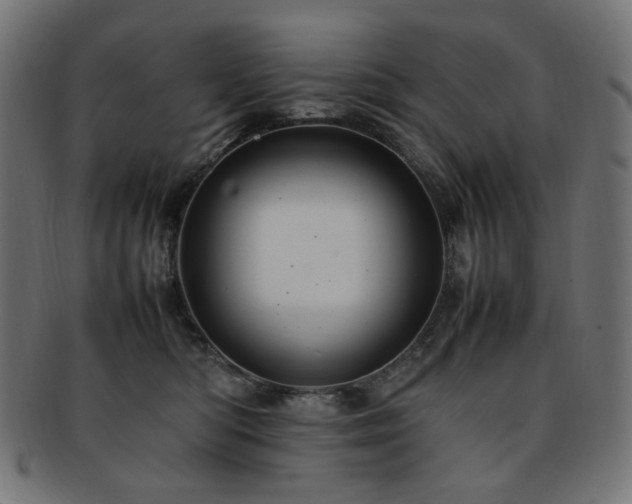 X0000092280422200709141225