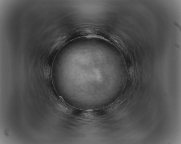 X0000092280423200709141225