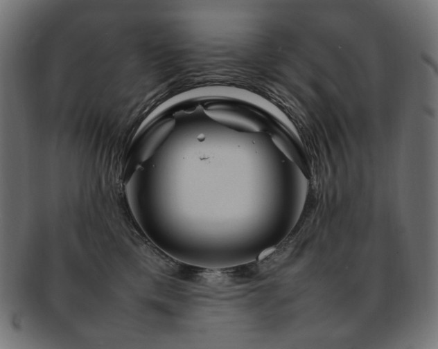 X0000092280425200709141225