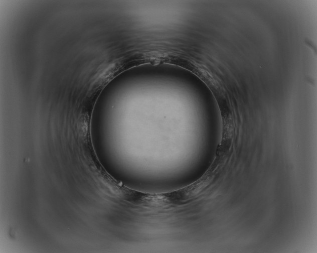 X0000092280427200709141225