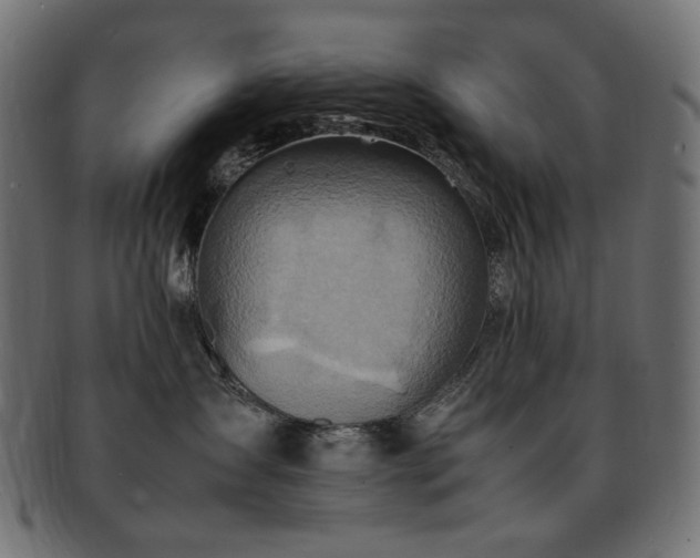 X0000092280431200709141225