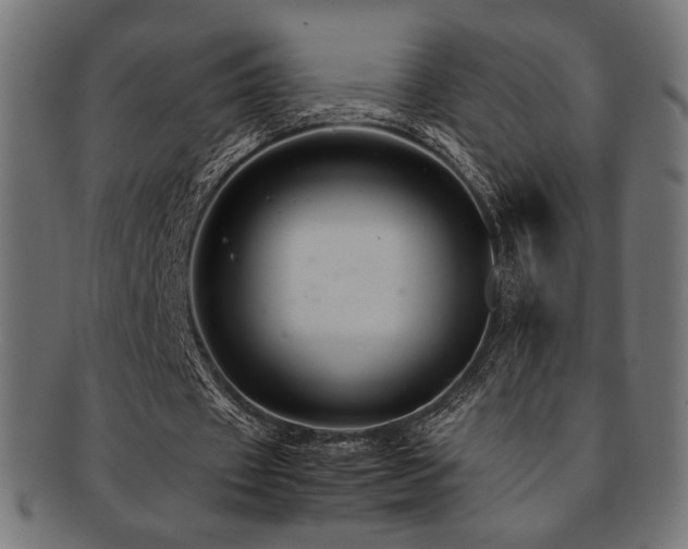 X0000092280433200709141224