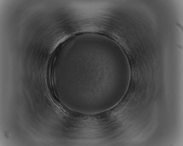 X0000092280434200709141224