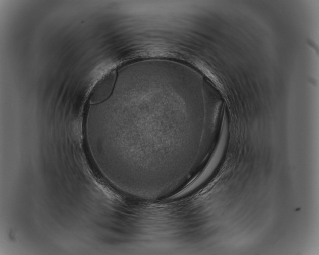 X0000092280438200709141224