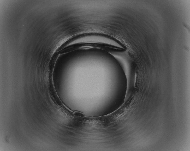 X0000092280440200709141224