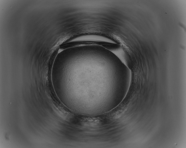 X0000092280443200709141224