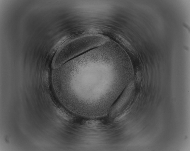 X0000092280444200709141224