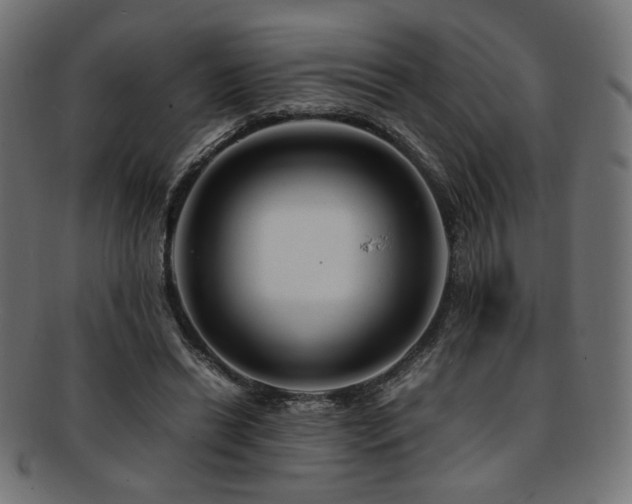 X0000092280446200709141224