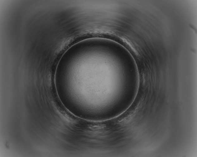 X0000092280447200709141224