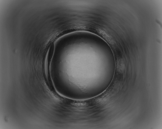 X0000092280449200709141224