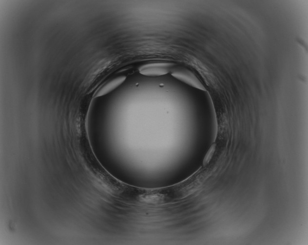 X0000092280452200709141224