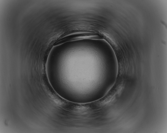 X0000092280453200709141224