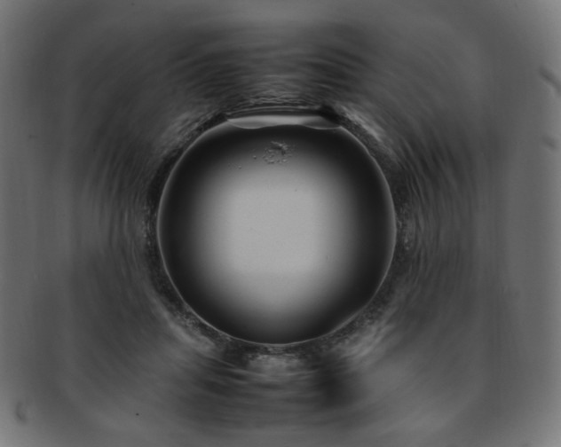 X0000092280455200709141224