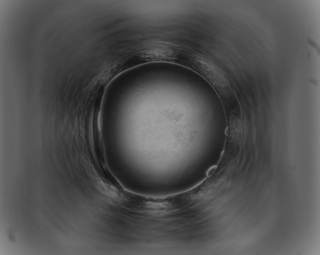 X0000092280457200709141224