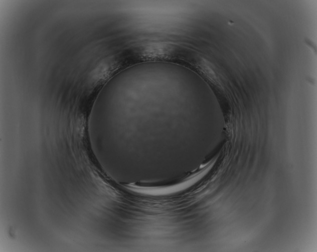 X0000092280458200709141224