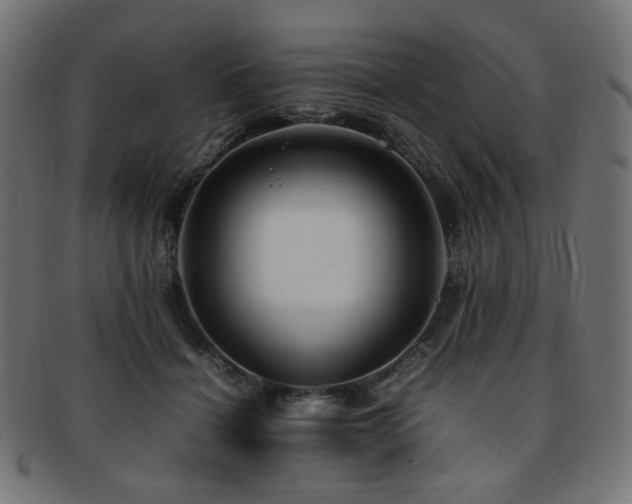 X0000092280460200709141224