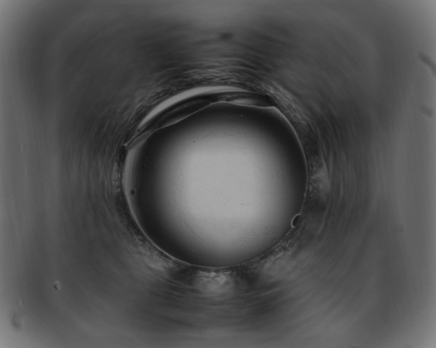 X0000092280469200709141225