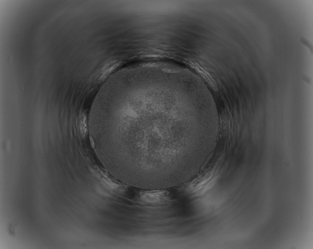 X0000092280479200709141225