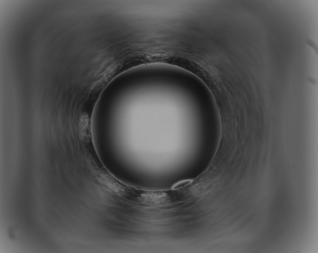 X0000092280480200709141225