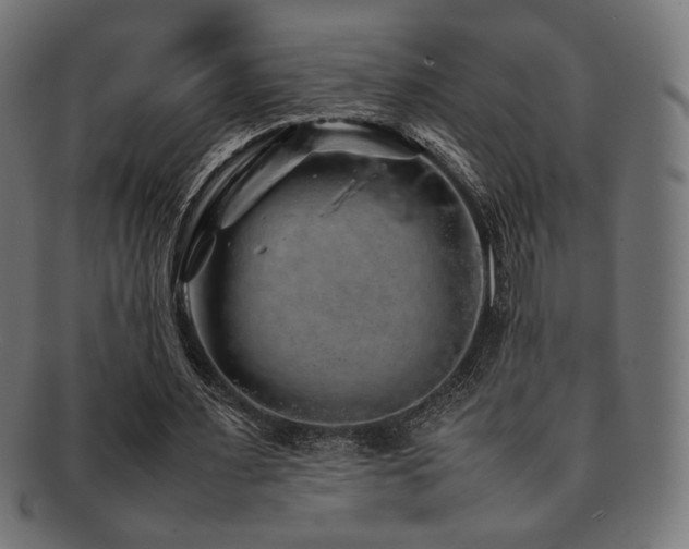 X0000092280483200709141224